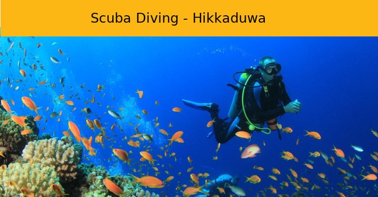 Scuba Diving Hikkaduwa
